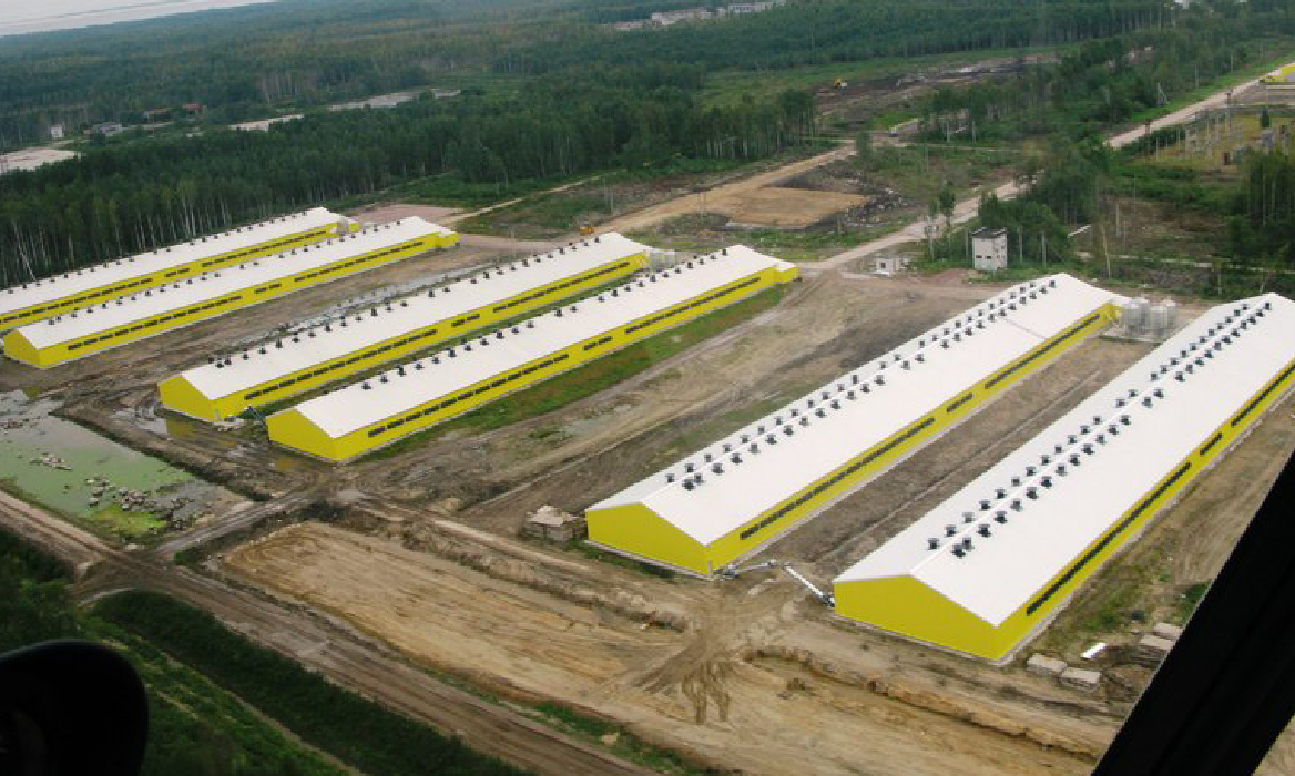 Создание в Кабардино-Балкарской республике птицекомплекса по производству мяса бройлера и мяса индейки в едином технологическом цикле суммарной мощности 30 650 тонн мяса птицы в год (живой вес), по адресу: Кабардино-Балкарская республика, Зольский район, с. Псынадаха. Общая площадь комплекса – 123,5 Га.
